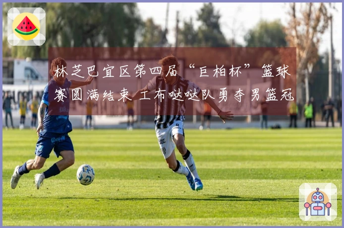 林芝巴宜区第四届“巨柏杯”篮球赛圆满结束 工布哒哒队勇夺男篮冠军
