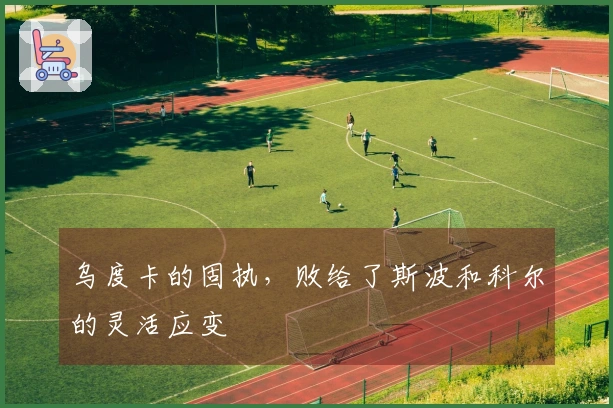 乌度卡的固执，败给了斯波和科尔的灵活应变